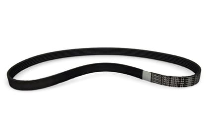 Ford V Belt AV884339