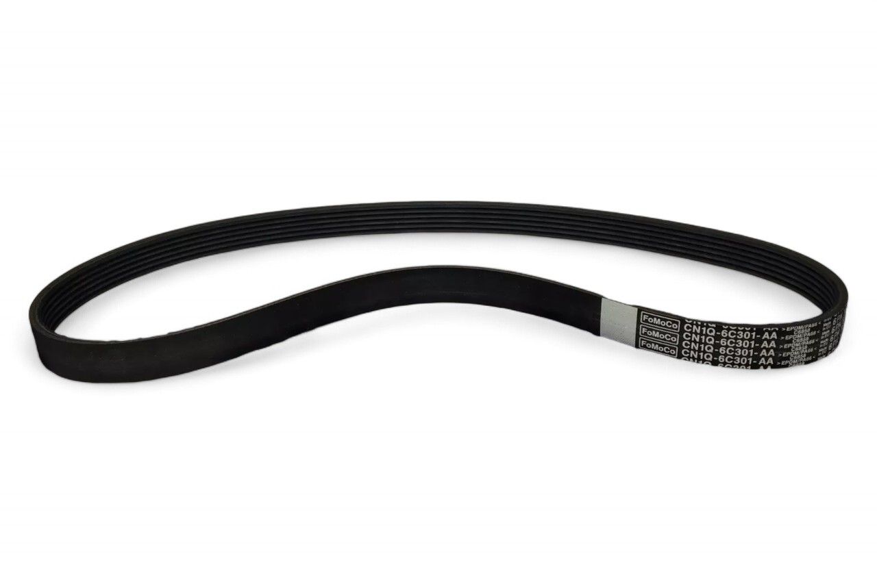 Ford V Belt AV884339