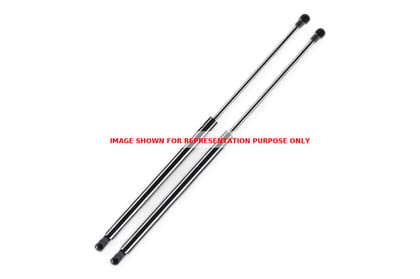 Monroe Tailgate Gas Spring - LH/RH M2N3SG059