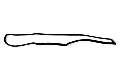 Toyota/Lexus Rear Door Weatherstrip - RH AV606429