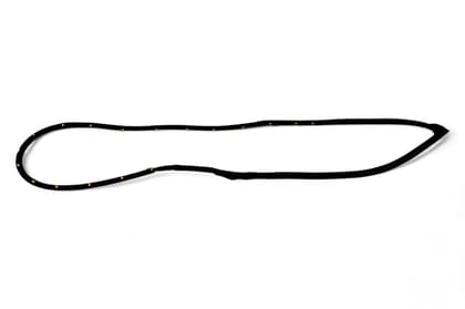 Toyota/Lexus Front Door Weatherstrip - RH AV500897