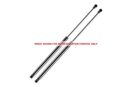 Monroe Tailgate Gas Spring - LH/RH M2N3SG059