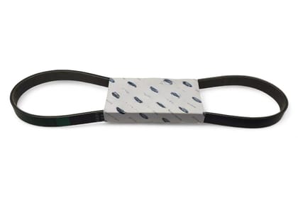 Ford V Belt AV6Q6C301DA