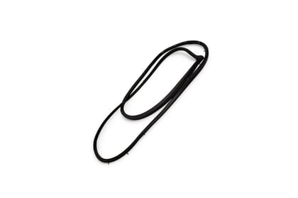 Toyota/Lexus Rear Door Weatherstrip - LH AV231625