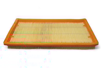 Tata Air Filter AV733519