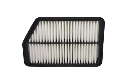 Zip Air Filter AV375304