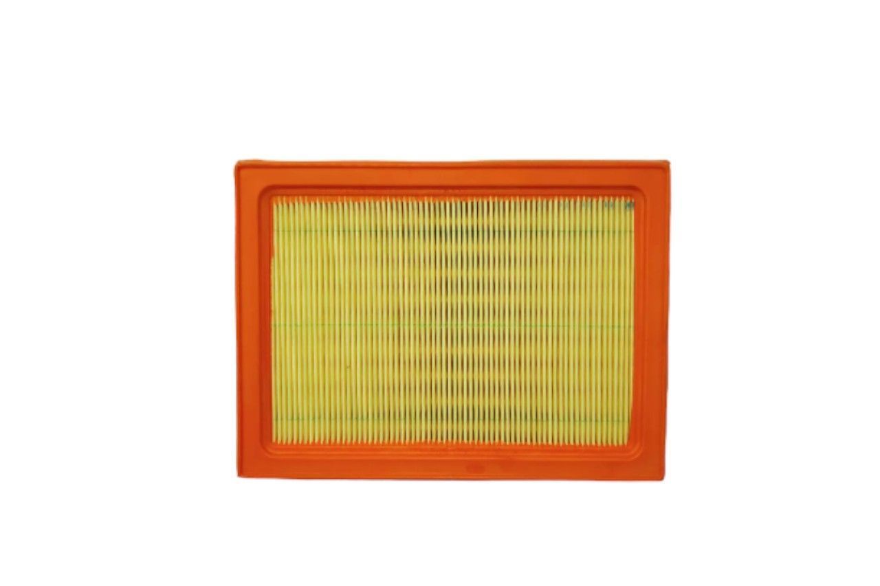 Purolator Air Filter AV787805