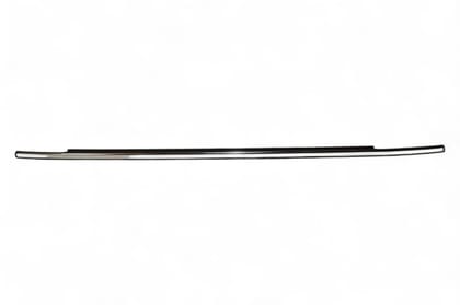 Maruti Suzuki Weatherstrip, Rear Door Outer - LH AV159028